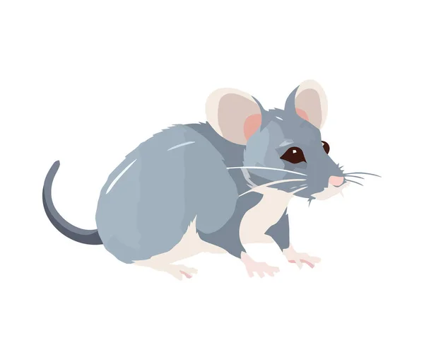 Cute Myszy Kreskówki Siedzi Ikona Izolowane — Wektor stockowy