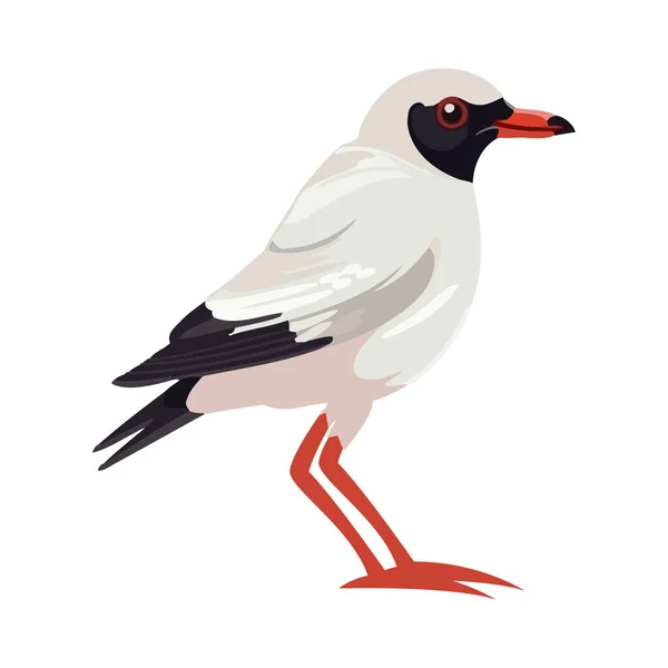 Beyaz Arkaplan Simgesi Üzerindeki Tropikal Kuş Izole Edildi — Stok Vektör