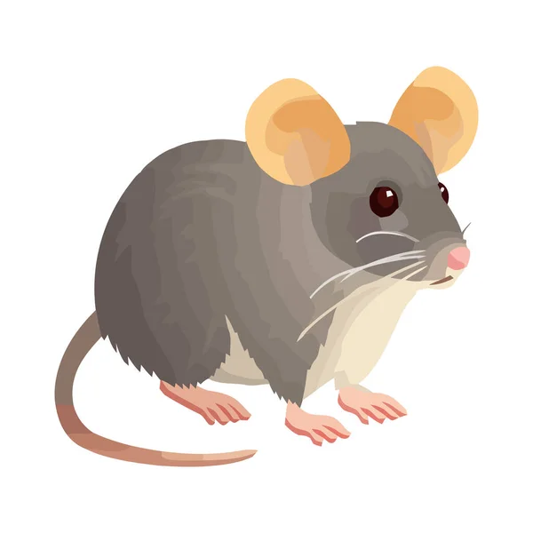 Пушистый Грызун Значок Милая Мышь Иллюстрация Изолированный Стиль — стоковый вектор