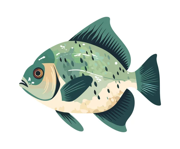 Sötvattenfisk Simning Ikon Isolerad — Stock vektor
