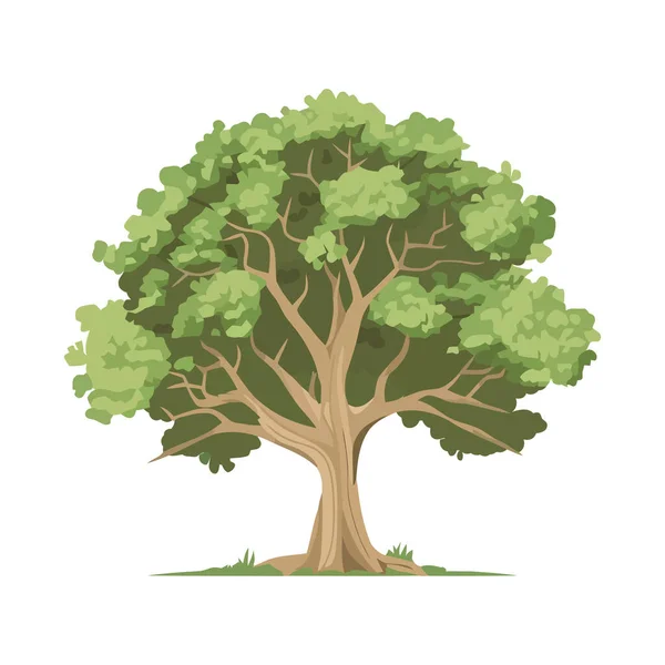 Yeşil Yaprak Doğası Ağaç Ikonu Izole Edildi — Stok Vektör