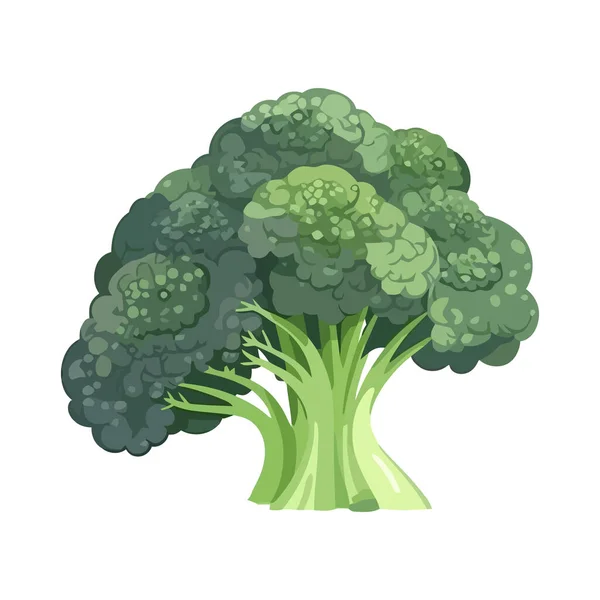 Brócoli Verde Simboliza Icono Dieta Saludable Aislado — Vector de stock