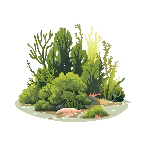 Aquatic animals and plants in seaweed reef icon isolated