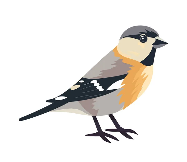 Petit Oiseau Pinson Animal Icône Isolé — Image vectorielle