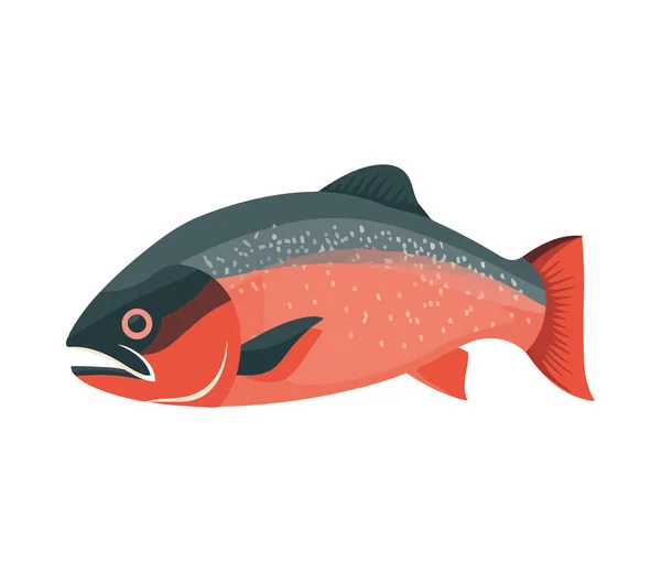 Cute Fish Icon Swimming Nature Isolated — Stock Vector