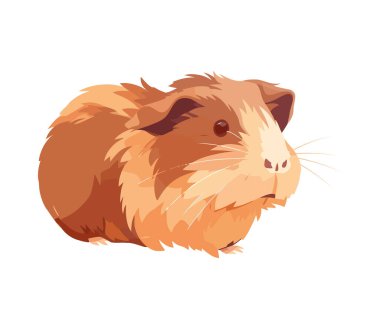 Tüylü, tüylü, tüylü, sevimli kemirgen.