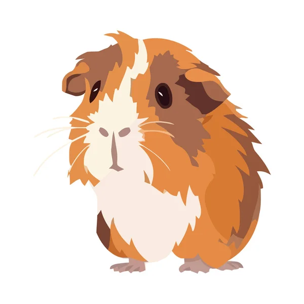 Fluffig Tecknad Hamster Sitta Isolerad Bakgrund Ikon — Stock vektor