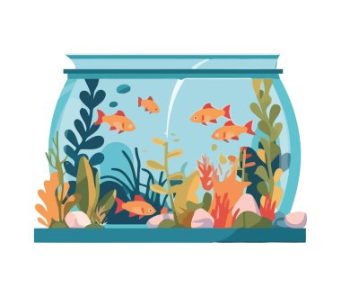 Şirin akvaryumlarda yüzen akvaryum balığı sualtı ikonu izole edilmiş.