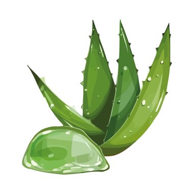 Aloe Vera ve su damlaları izole edilmiş ikonu kapatın