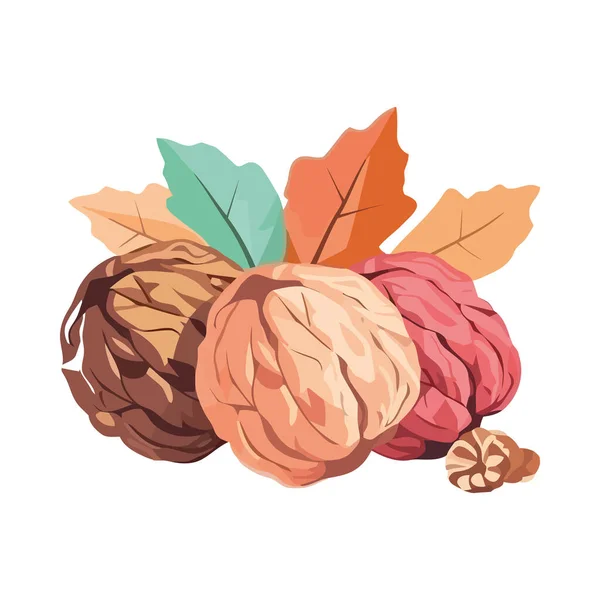 Frisches Herbstgemüse Und Nüsse — Stockvektor
