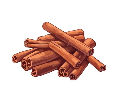 Organik tarçın baharat ikonu izole edildi