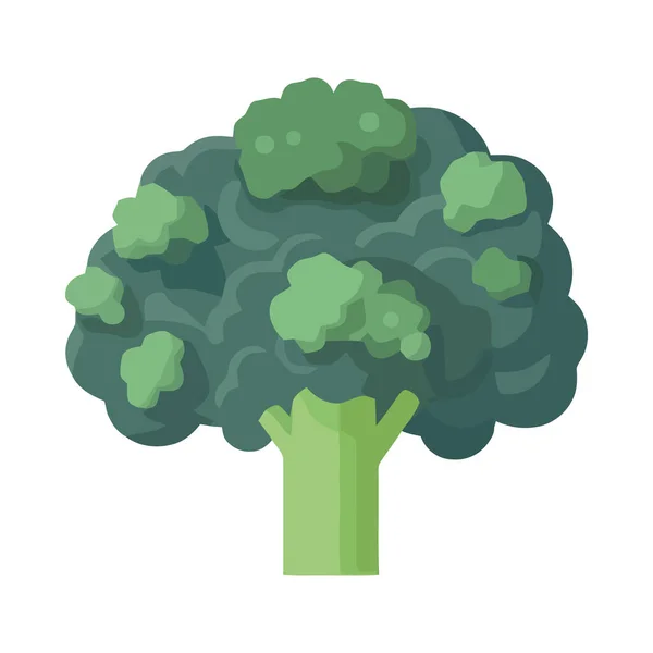 Zielone Brokuły Liści Ikony Organicznej Izolowane — Wektor stockowy