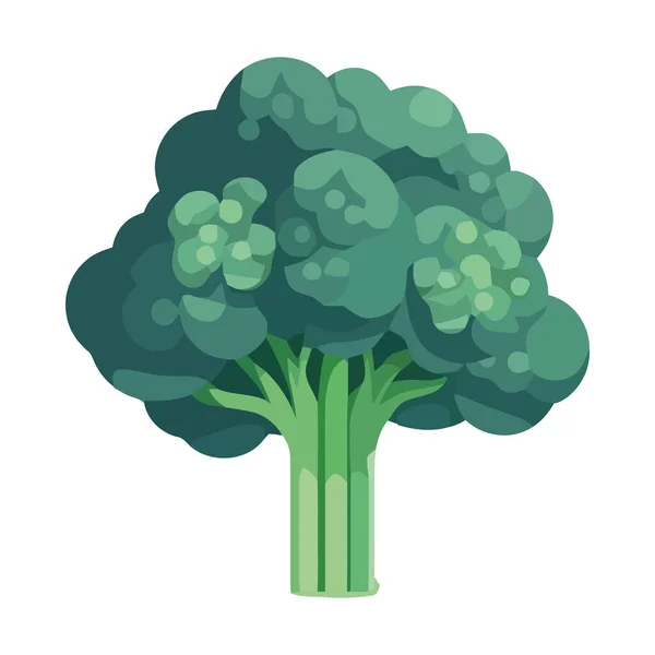 Icono Brócoli Vegetal Verde Saludable Aislado — Vector de stock