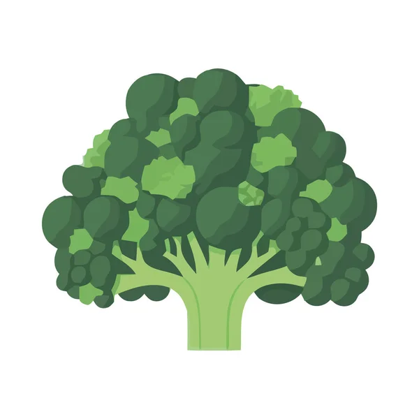 Brócolos Orgânicos Saudável Comer Ícone Crescimento Isolado —  Vetores de Stock