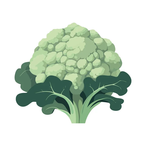 Zöld Karfiol Levél Vegetáriánus Ikon Izolált — Stock Vector