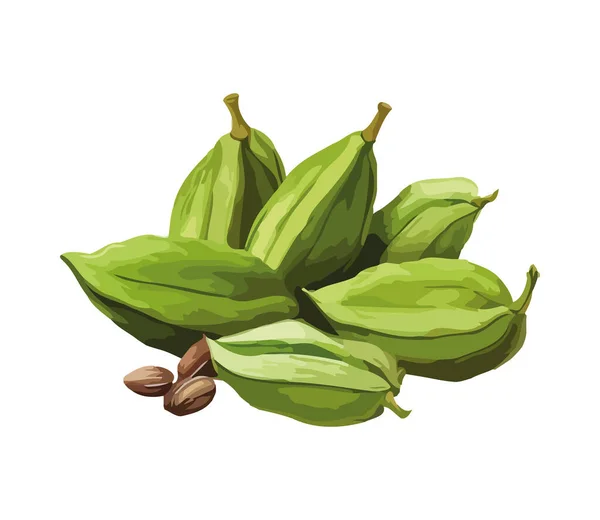 Cacao Bio Frais Pour Une Alimentation Saine Icône Isolé — Image vectorielle