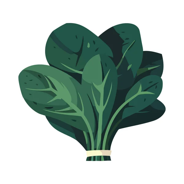 緑のほうれん草は 単離された自然の新鮮さアイコンを象徴 — ストックベクタ