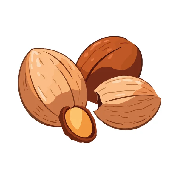 Здоровая Закуска Свежие Орехи Икона Фруктовой Смеси — стоковый вектор