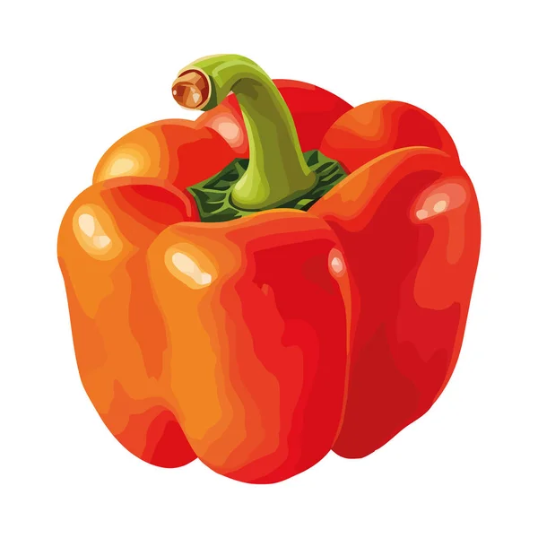 辣椒新鲜蔬菜 熟透烹调图标分离 — 图库矢量图片