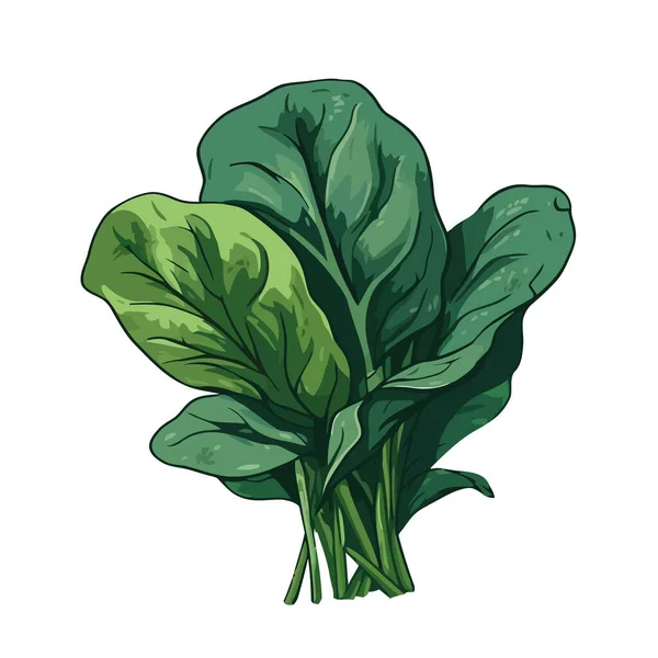 新鮮な緑の野菜サラダ 健康的な食事のアイコンが隔離された — ストックベクタ
