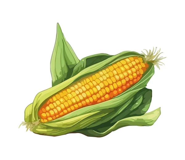 Frischer Mais Auf Weißem Hintergrund Symbol Für Gesunde Mahlzeiten Isoliert — Stockvektor