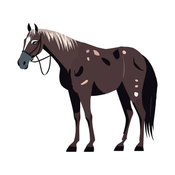 Brown Stallion White Background Icon Isolated — Stock Vector