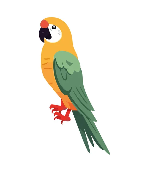 Papagal Cocoțat Ramură Pene Pictogramă Zburătoare Izolată — Vector de stoc