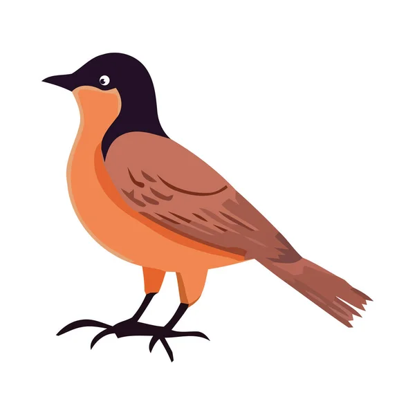 Carino Uccello Del Fumetto Icona Appollaiamento Isolato — Vettoriale Stock