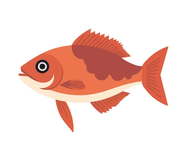 Swimming Goldfish Cute Animal Icon Isolated — Stock Vector