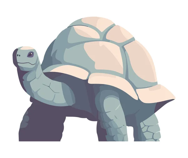 Långsam Promenad Sköldpadda Söt Reptil Maskot Symbol Ikon Isolerad — Stock vektor