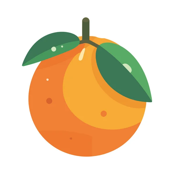 Frische Orangenfrüchte Reife Und Saftige Tropfen — Stockvektor
