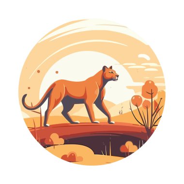 Afrika savanasında yürüyen aslan ikonu izole edildi