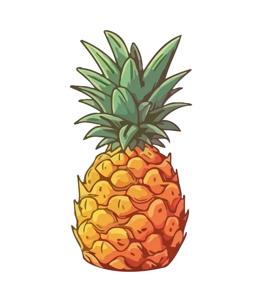 Ananas Mûr Fruits Tropicaux Frais Juteux Icône Isolé — Image vectorielle