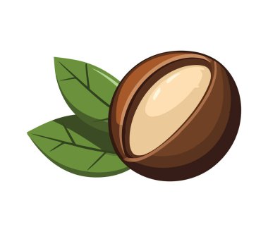 İzole edilmiş bir kabuk simgesinde taze organik atıştırmalık.