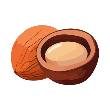 Taze organik fındık, sağlıklı bir ikon izole edilmiş.