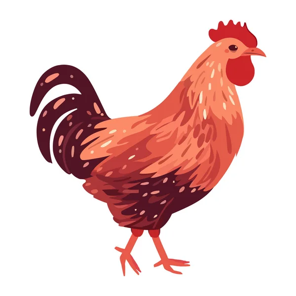 Standing Cockerel Symbolizes Rural Livestock Icon Isolated — Stock Vector