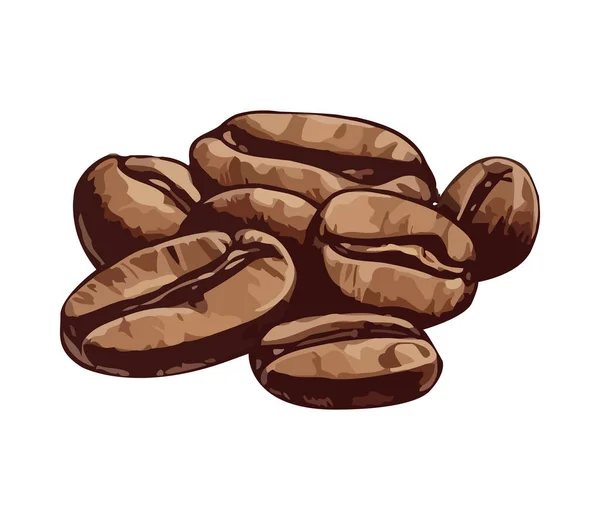 グルメコーヒー豆のイラストアイコンを隔離 — ストックベクタ