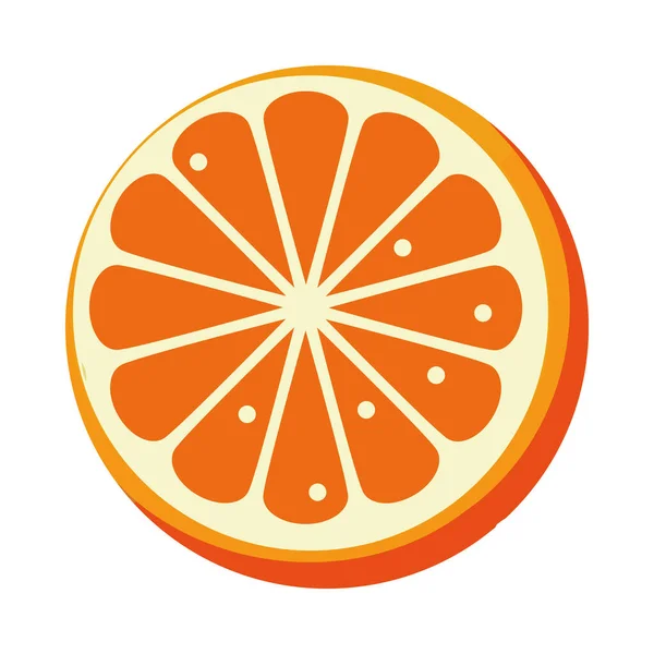 Saftige Zitrusscheibe Orange Design Ikone Isoliert — Stockvektor