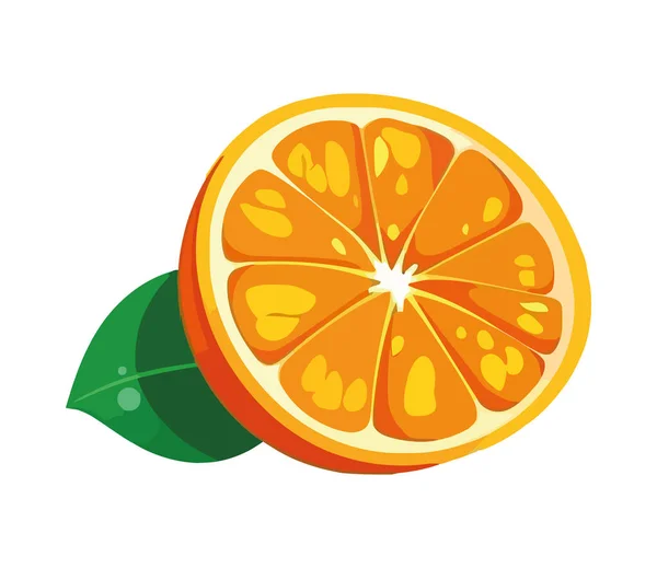 Frische Zitrusscheiben Orange Gesunde Sommerernährung Ikone Isoliert — Stockvektor