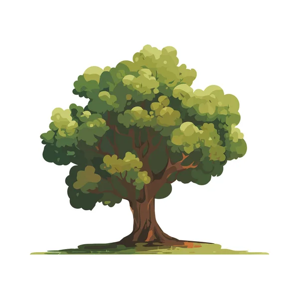 Ağaçların Dallarında Yeşil Yapraklar Yetişir — Stok Vektör
