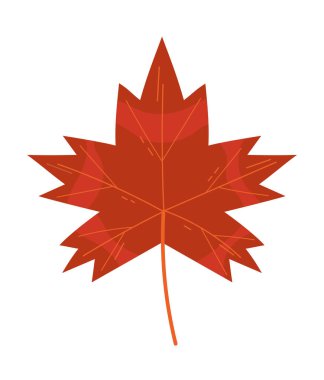 Akçaağaç yaprağı izole edilmiş simge tasarım biçimi