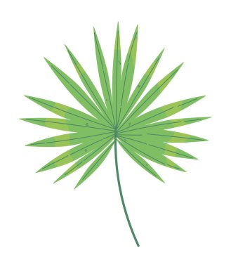 Palmiye yaprağı doğa ikonu tasarımı izole