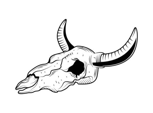 隔離された西部の雄牛の頭蓋骨のベクトル — ストックベクタ