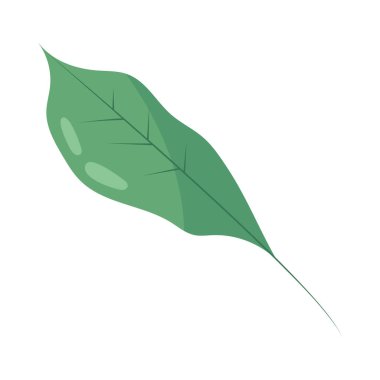 Yaprak doğa simgesi izole edilmiş vektör