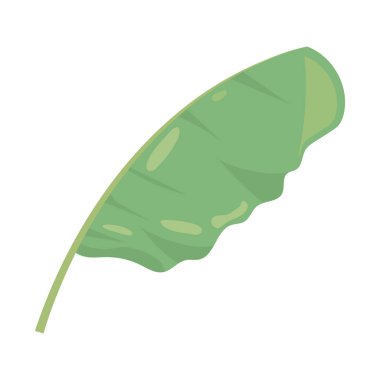 Palmiye yaprağı simgesi izole edilmiş vektör