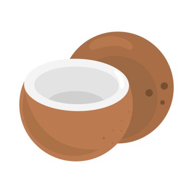 Hindistan cevizi meyve simgesi izole edilmiş vektör