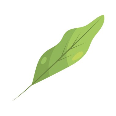 Yaprak doğal vektör simgesi izole edildi