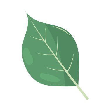 Beyaz arkaplan simgesi üzerindeki yaprak izole edilmiş vektör