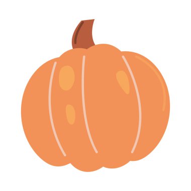 pumpkin vegetable icon isolated vector clipart