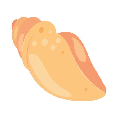 Salyangoz kabuğu deniz yaşamı simgesi izole edildi